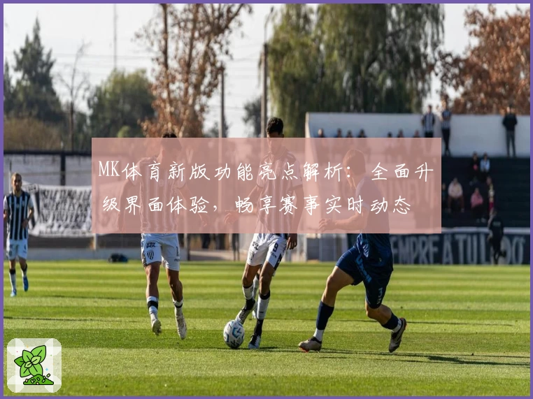 MK体育新版功能亮点解析：全面升级界面体验，畅享赛事实时动态